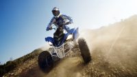 ATVs/Quads Bike