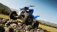 ATVs/Quads Bike